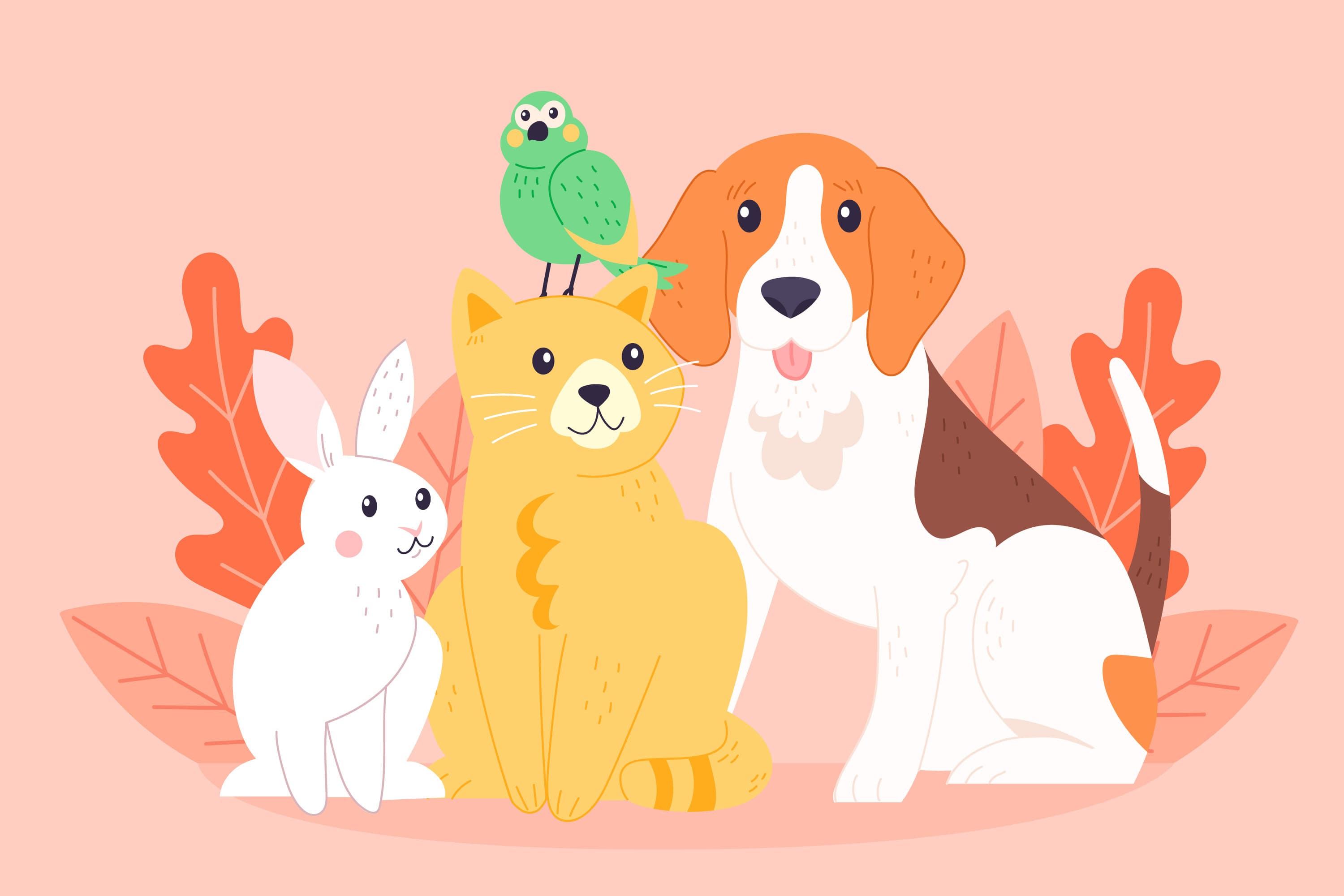 PetCare
